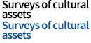 Surveys of cultural assets